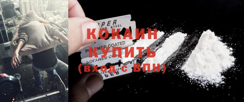 Cocaine FishScale  купить закладку  Велиж 